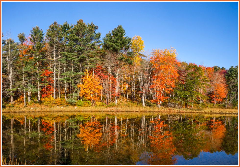COVID-Friendly Fall Activities