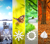 Let's Debate: Argument Of The Week Vol. 1