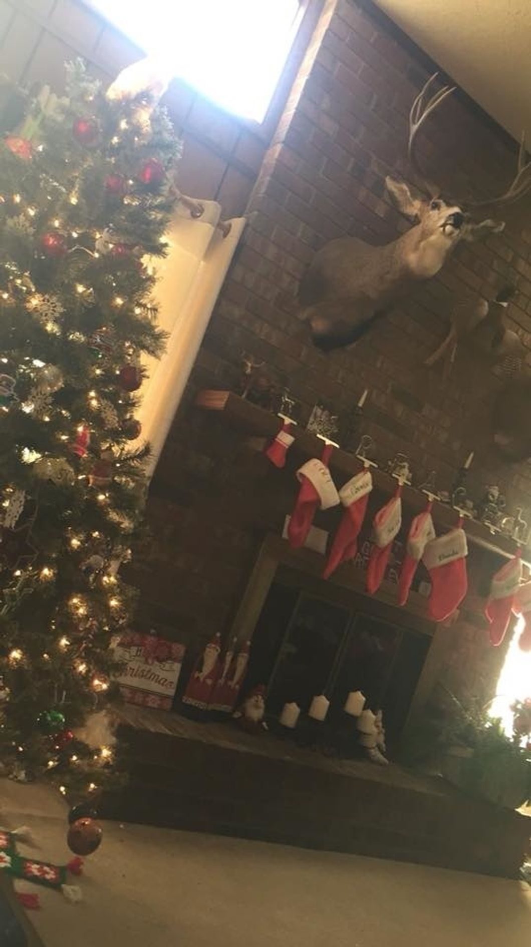 fireplace and christmas tree