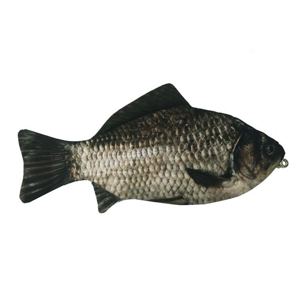 Fish Pencil Case