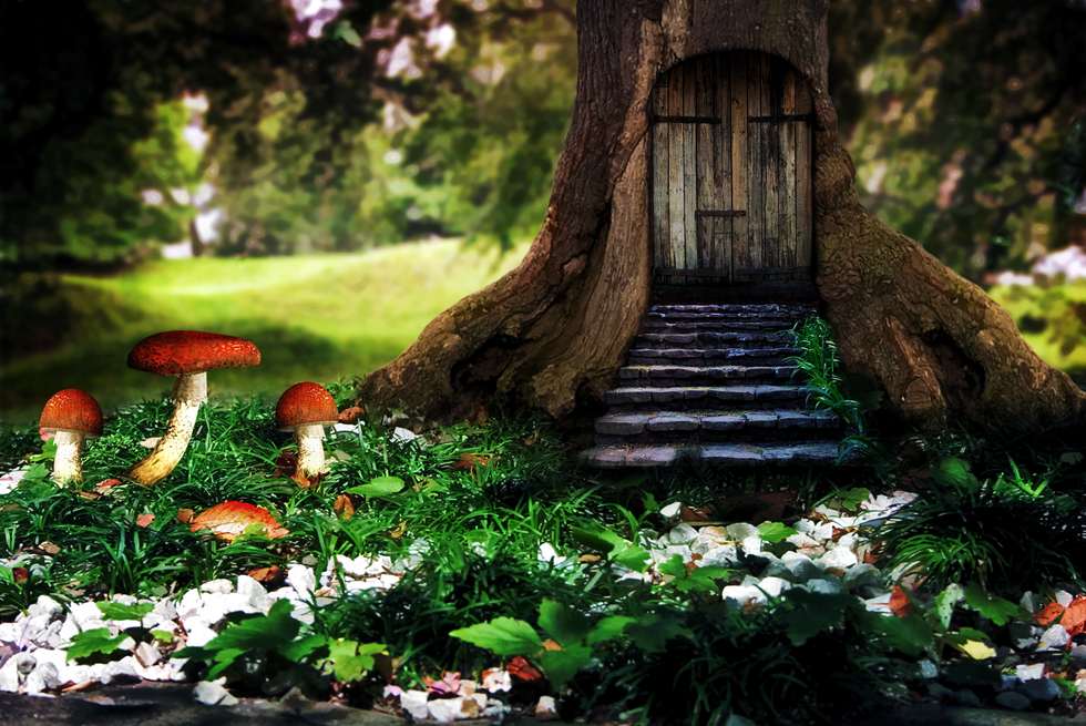 Flickr / Brenda Clarke