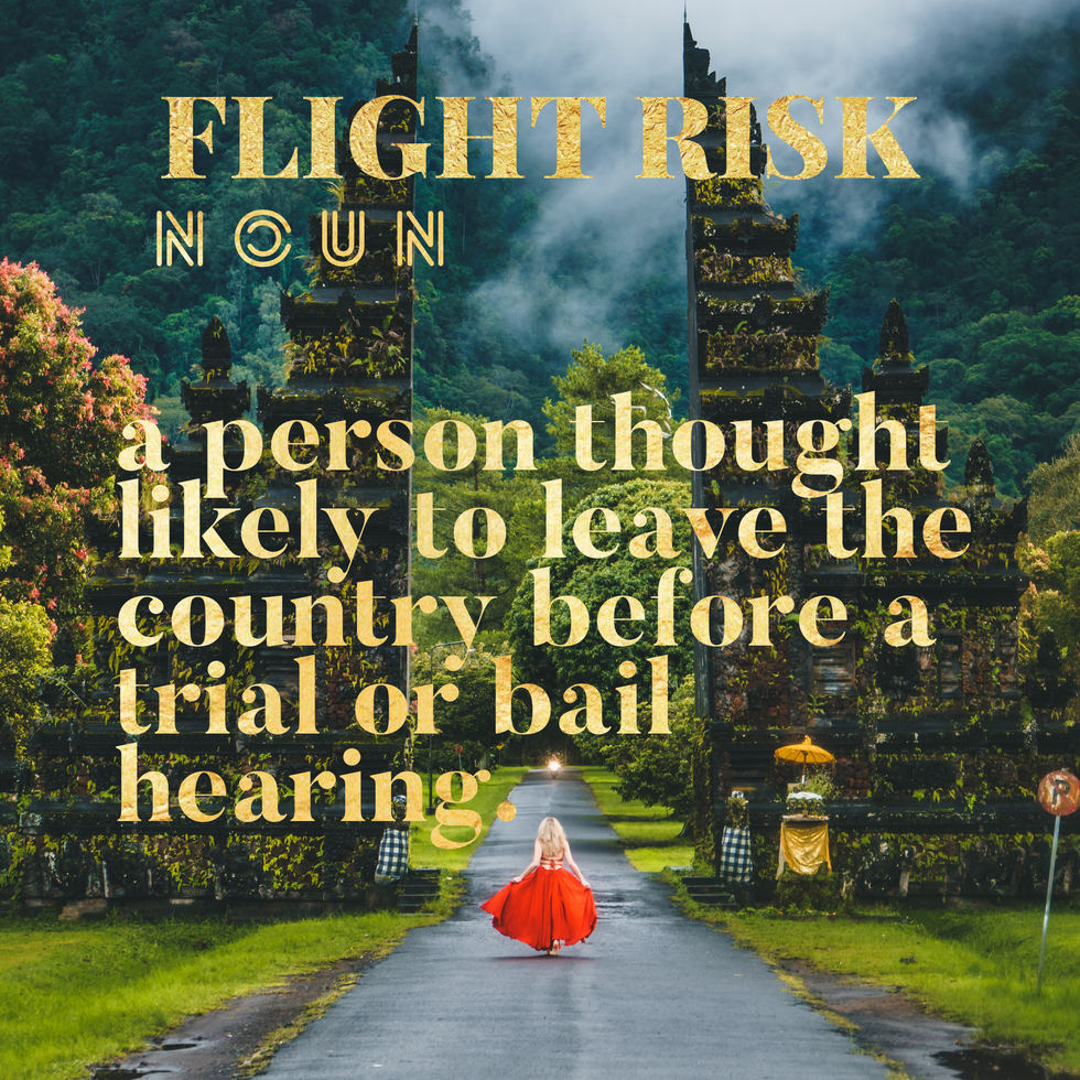 flight risk definition
