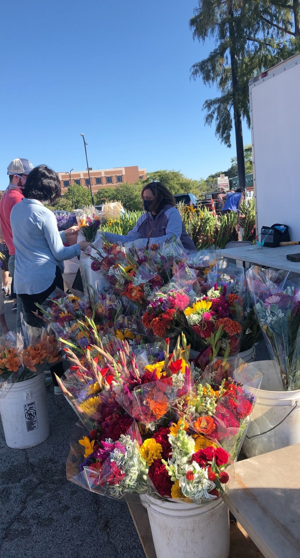 Flower assortment at the Farmer's Market