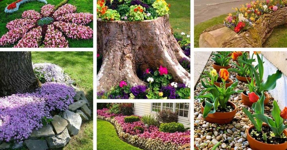 5 Types of Flower Beds