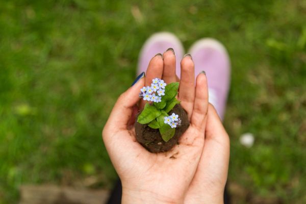 flower in hand