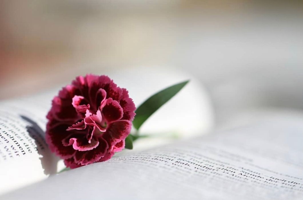 Flower on book