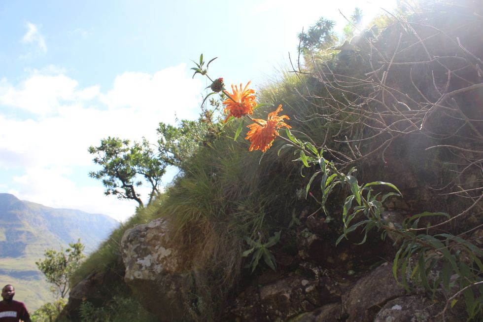 On The Unending Mountain