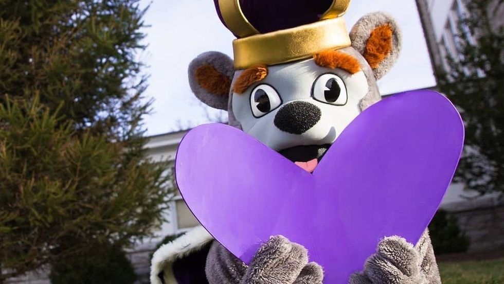 football, JMU, streamers