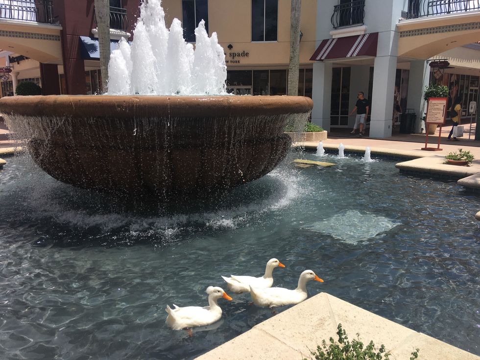 fountain at outdoor shopping mall