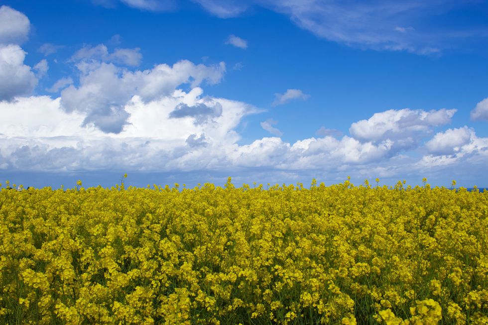 2019 has been a mess.