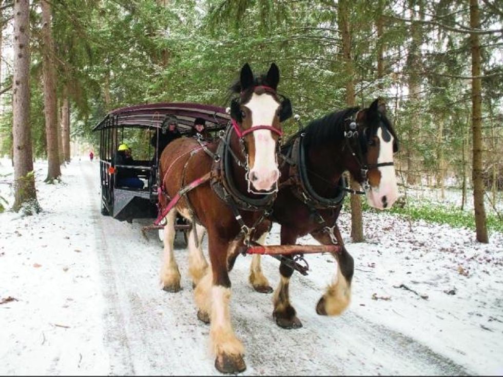 Fremont, Ohio Sleigh Rides Through Spiegel Grove