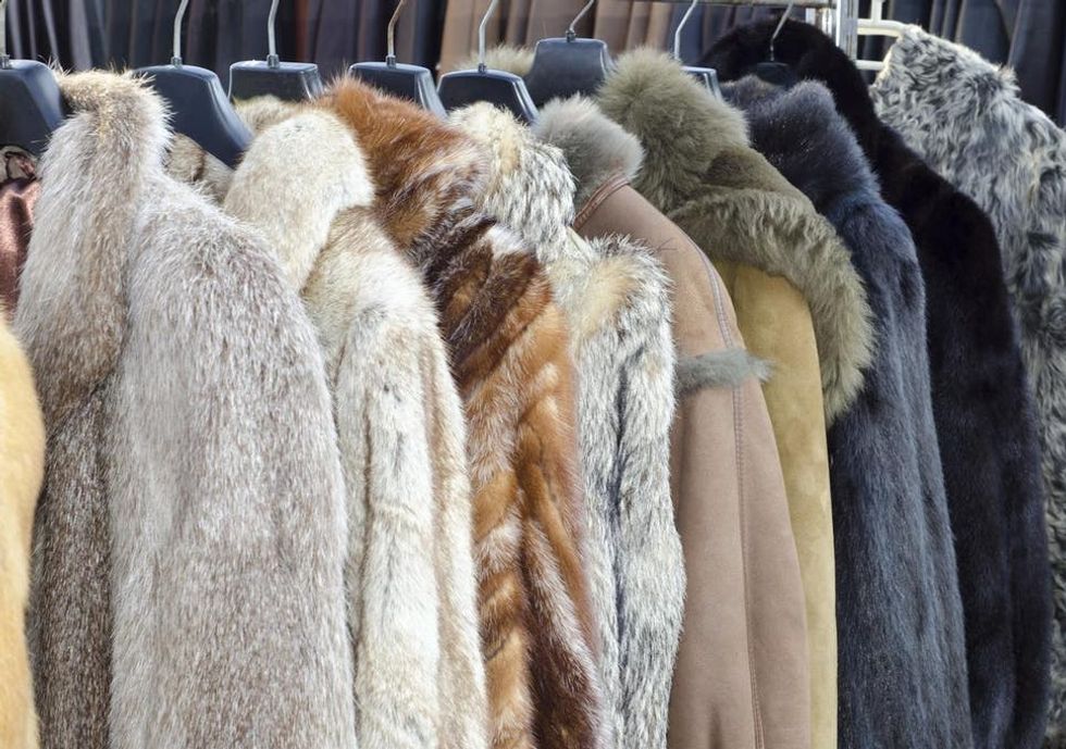 Animals and the Fashion Industry