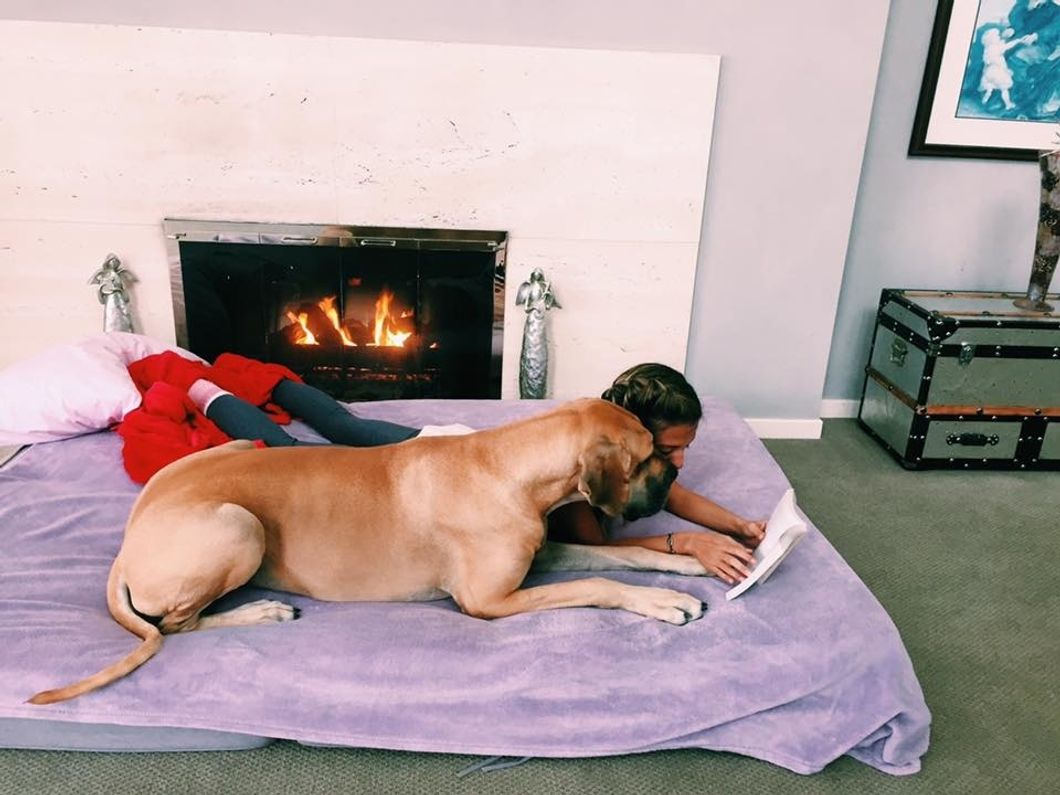 girl and dog in bed reading