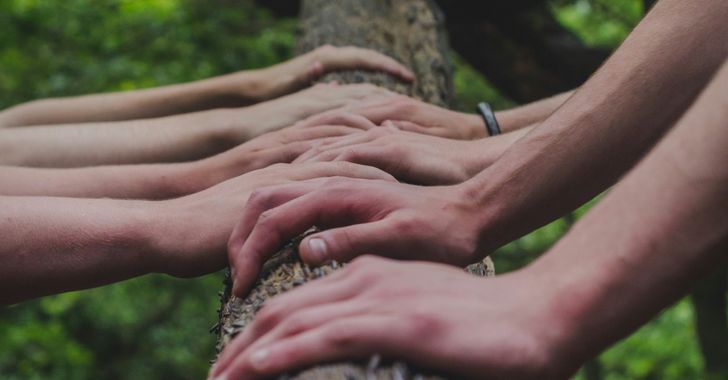 group of people hold hands on tree