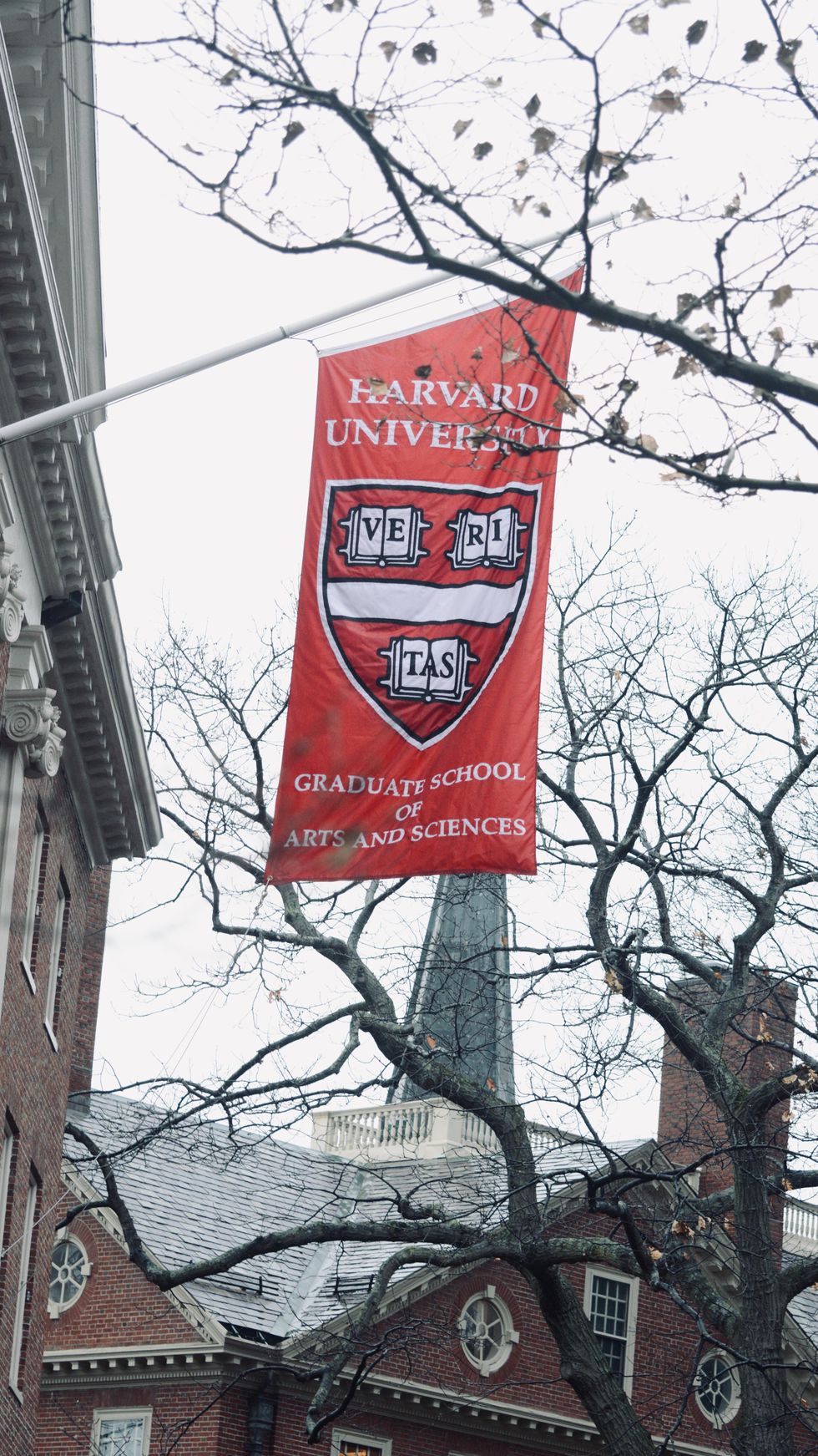 10 Vintage Items You Need As An Ivy League Alumni