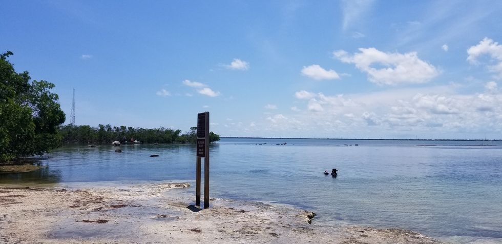 Horshoe Swimming Hole Florida Keys