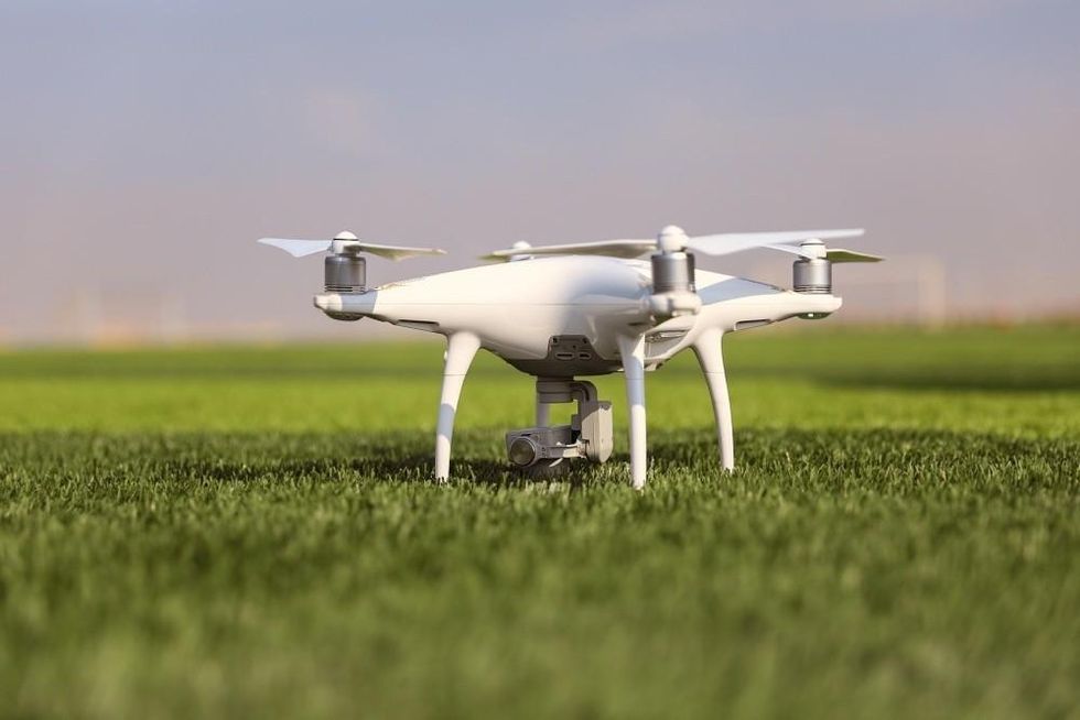 How seed drones are helping to solve climate change