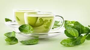 How to Drink Green Tea for Weight loss?