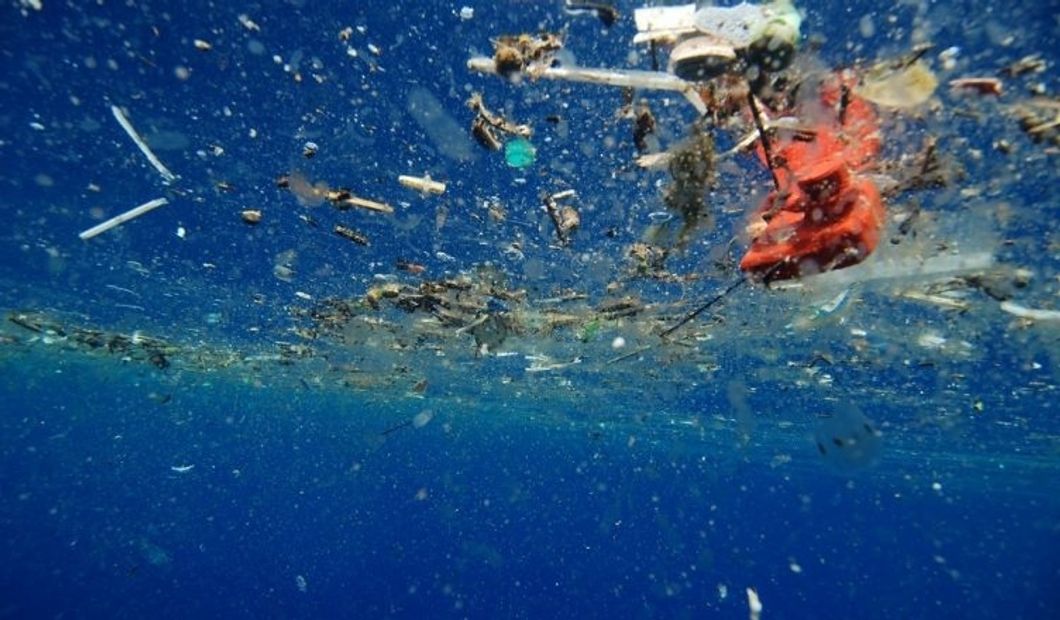 http://www.blueoceansociety.org/blog/a-plastic-ocean/