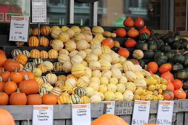 https://commons.wikimedia.org/wiki/File:Cucurbita_squash_24.Autumn.WholeFoods.1440P.NW.WDC.14October2014.jpg