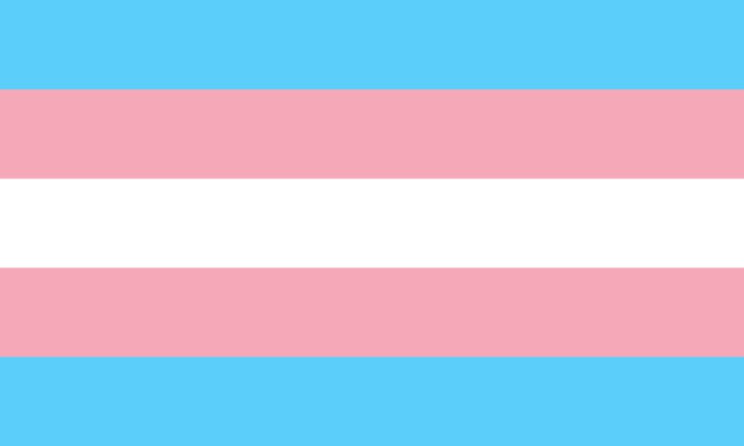 https://commons.wikimedia.org/wiki/File:Transgender_Pride_flag.svg