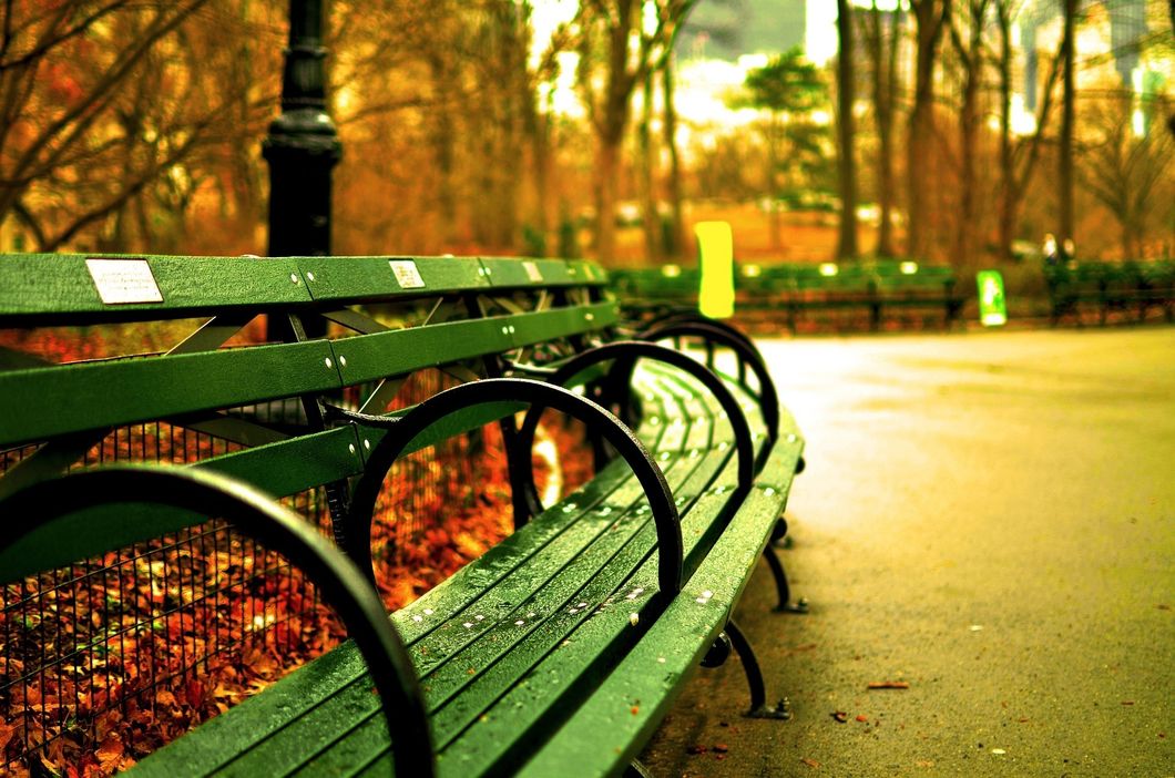 https://pixabay.com/en/central-park-new-york-city-benches-535645/