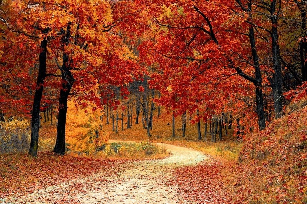 https://pixabay.com/en/fall-autumn-red-season-woods-1072821/