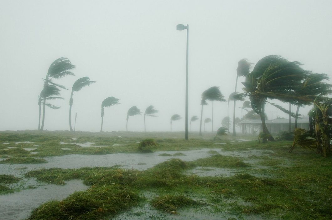 https://pixabay.com/en/key-west-florida-hurricane-dennis-86025/