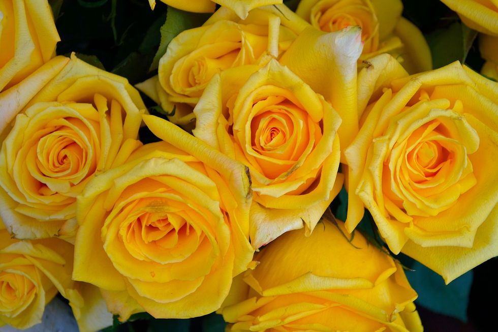 https://pixabay.com/en/yellow-roses-flowers-floral-nature-2859077/