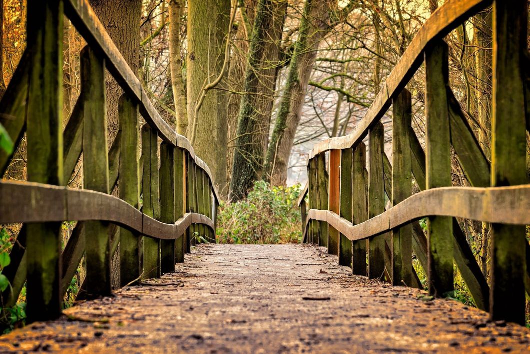 https://pixabay.com/photos/away-bridge-wood-nature-railing-3024773/