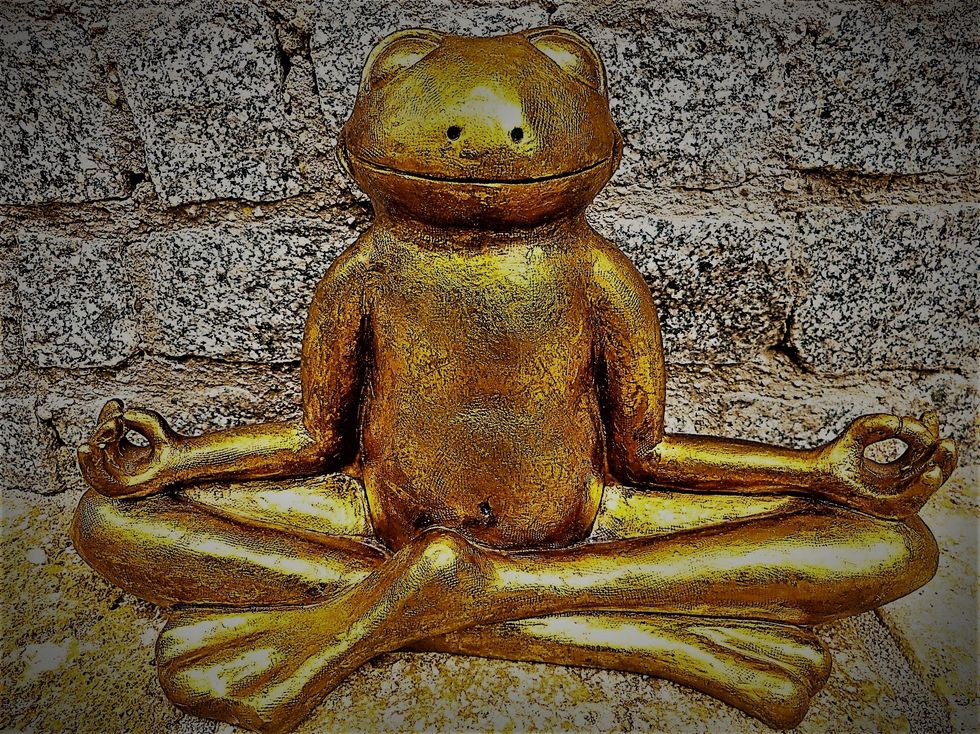 https://pixabay.com/photos/relaxation-meditation-frog-golden-1715385/