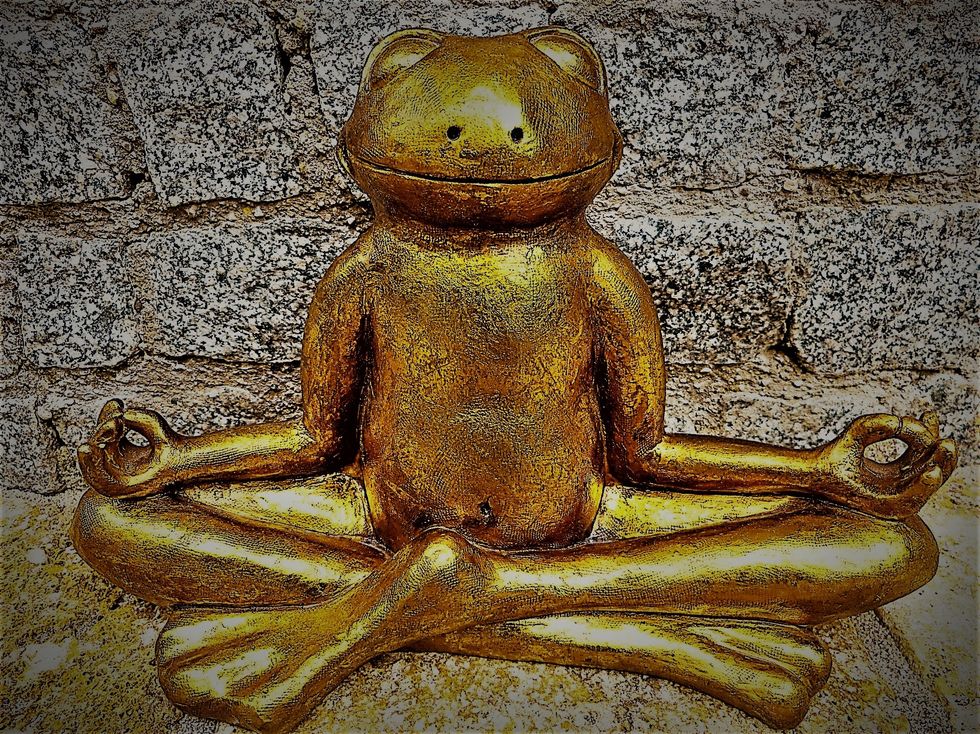 https://pixabay.com/photos/relaxation-meditation-frog-golden-1715385/