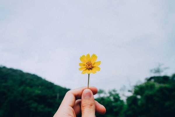https://unsplash.com/photos/2Ev2aUB8NJI