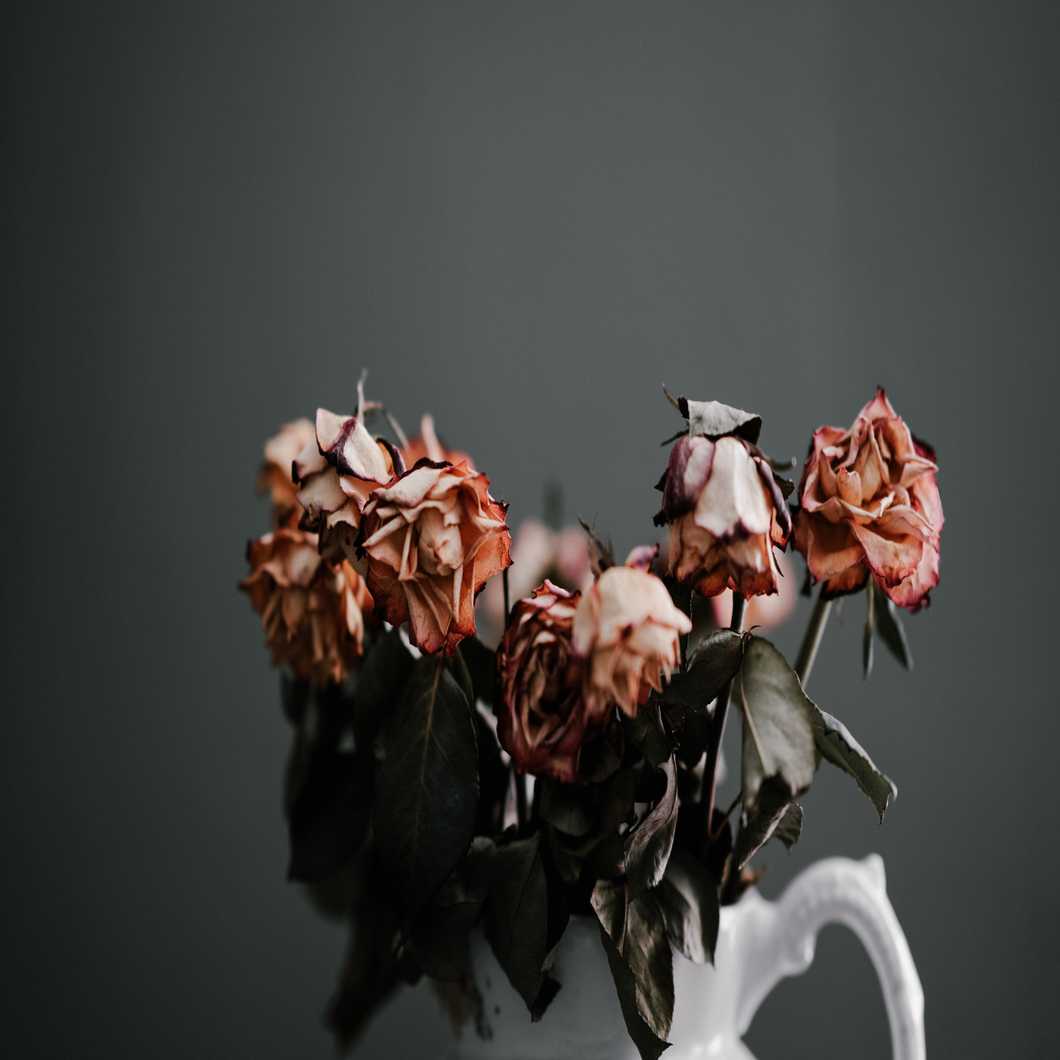 https://unsplash.com/photos/LsP6HM-ghcg