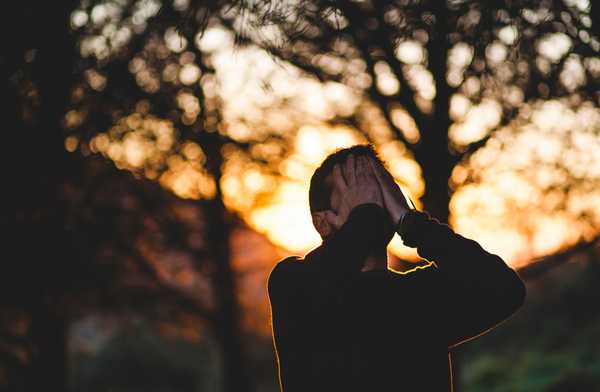 https://unsplash.com/photos/wuo8KnyCm4I