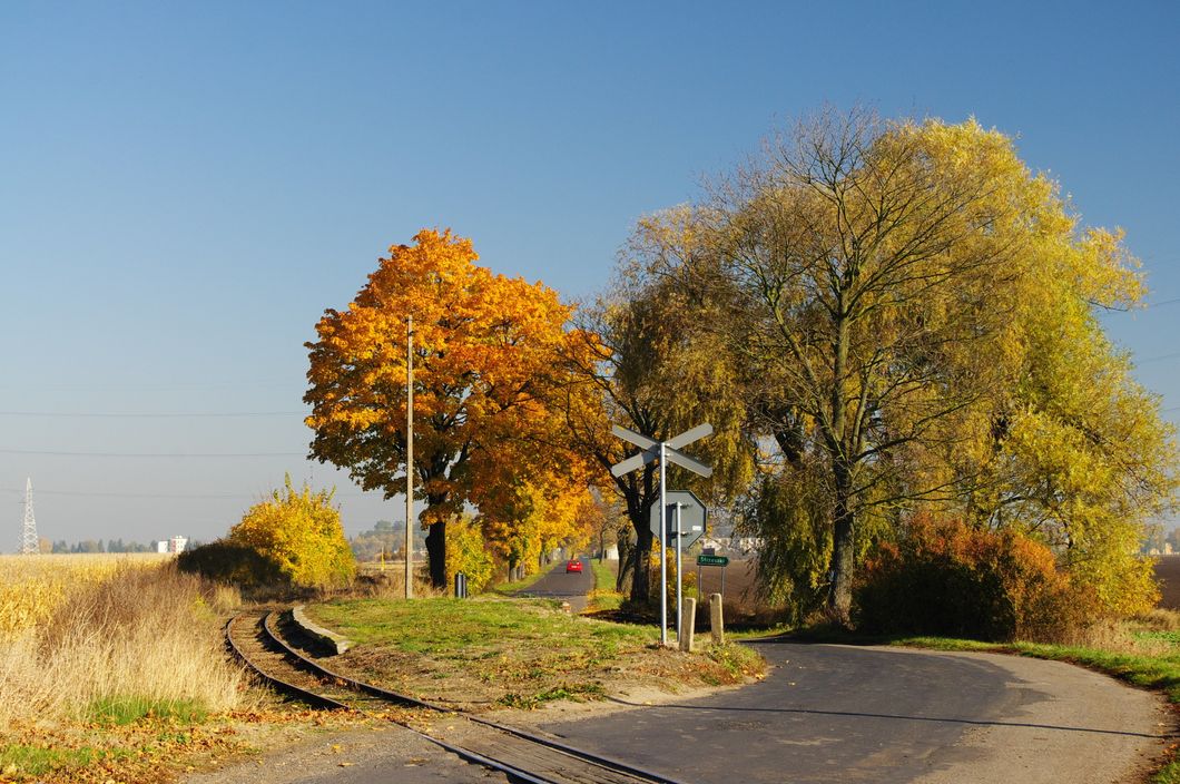 https://upload.wikimedia.org/wikipedia/commons/9/9f/Railway_Stop_Annopole_W%C4%85skotorowe_%28Poland%2C_October_2012%29.jpg