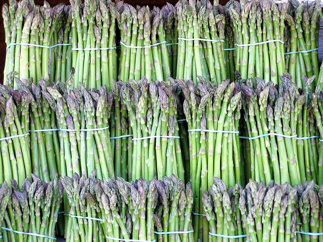 https://upload.wikimedia.org/wikipedia/commons/b/bb/Asparagus_image.jpg