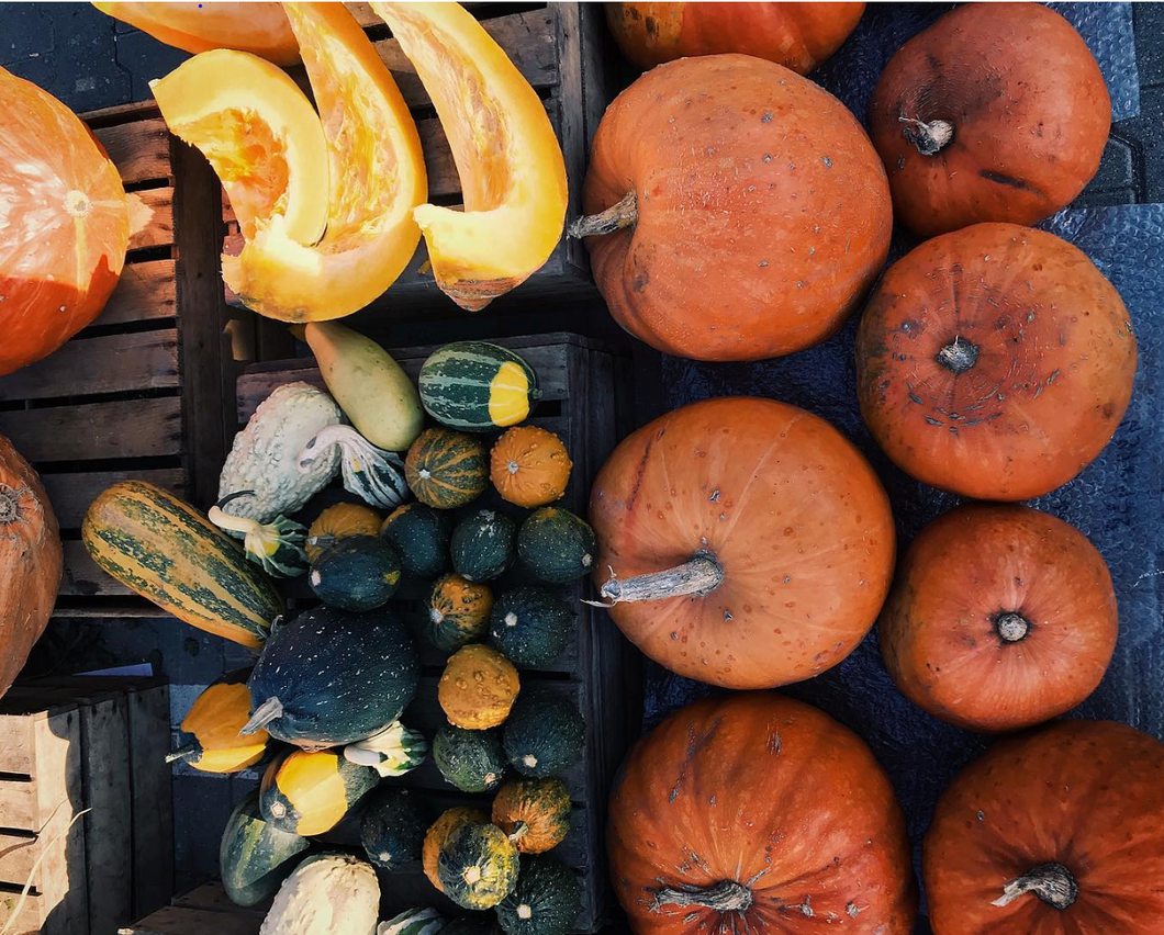 https://www.instagram.com/p/BooweqWF5Ex/?tagged=pumpkins
