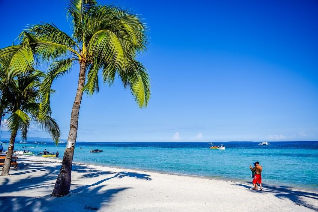 https://www.maxpixel.net/Ocean-Palm-Tree-Summer-Coconut-Beach-Tropical-3834825