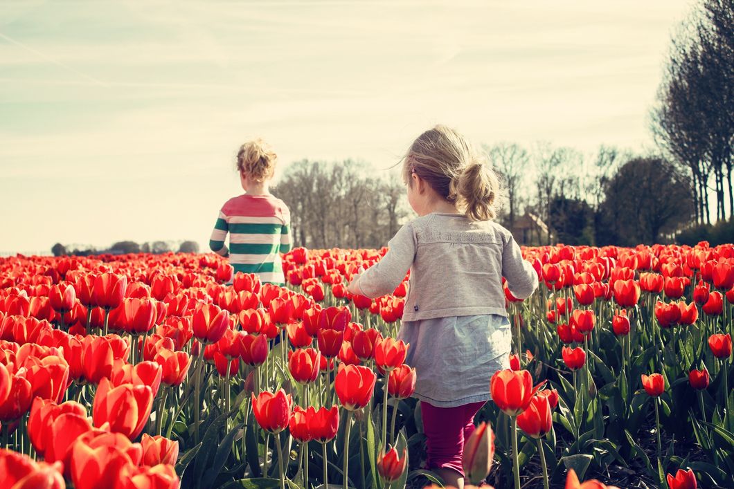 https://www.pexels.com/photo/2-kids-walking-on-red-tulip-garden-under-blu-sky-36745/
