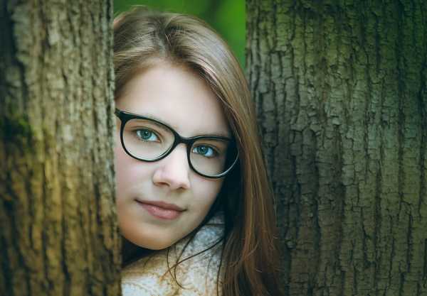 https://www.pexels.com/photo/attractive-bark-beautiful-beauty-531527/