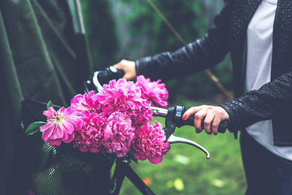 https://www.pexels.com/photo/bike-with-flower-basket-5971/