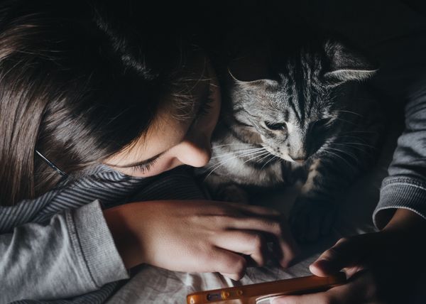 https://www.pexels.com/photo/black-cat-holding-persons-arm-1049764/