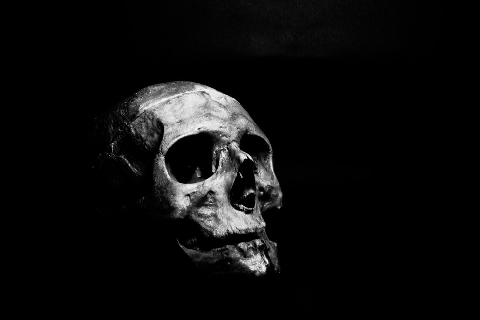 https://www.pexels.com/photo/grayscale-photography-of-human-skull-1270184/
