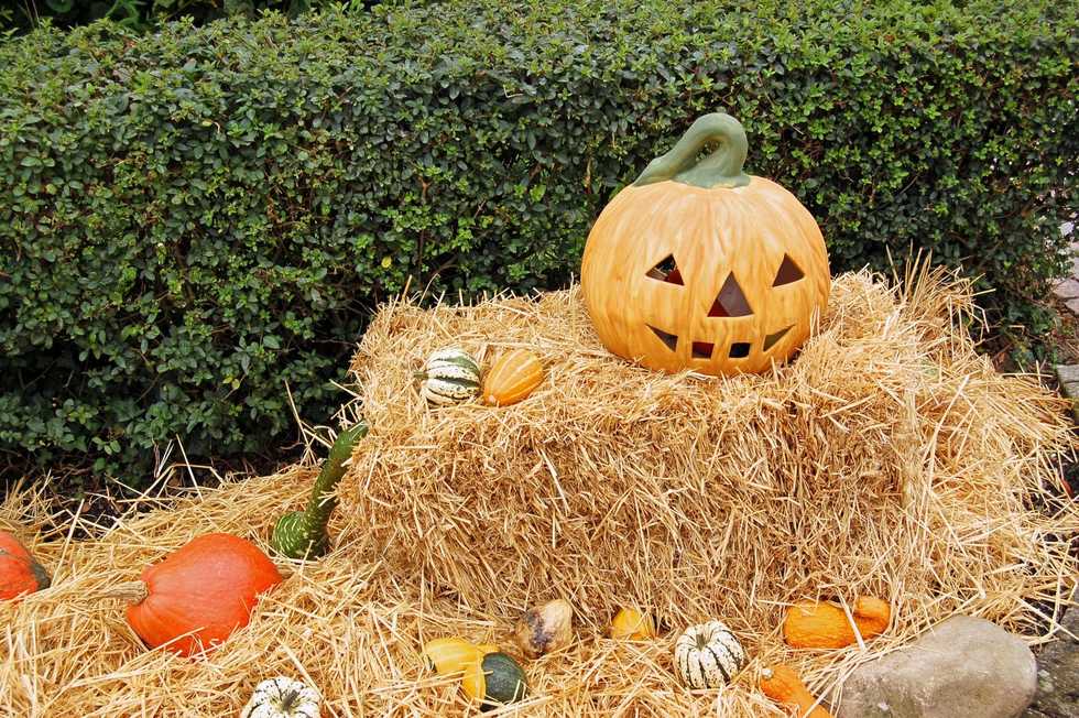 https://www.pexels.com/photo/jack-o-lantern-on-hay-stack-during-day-848168/
