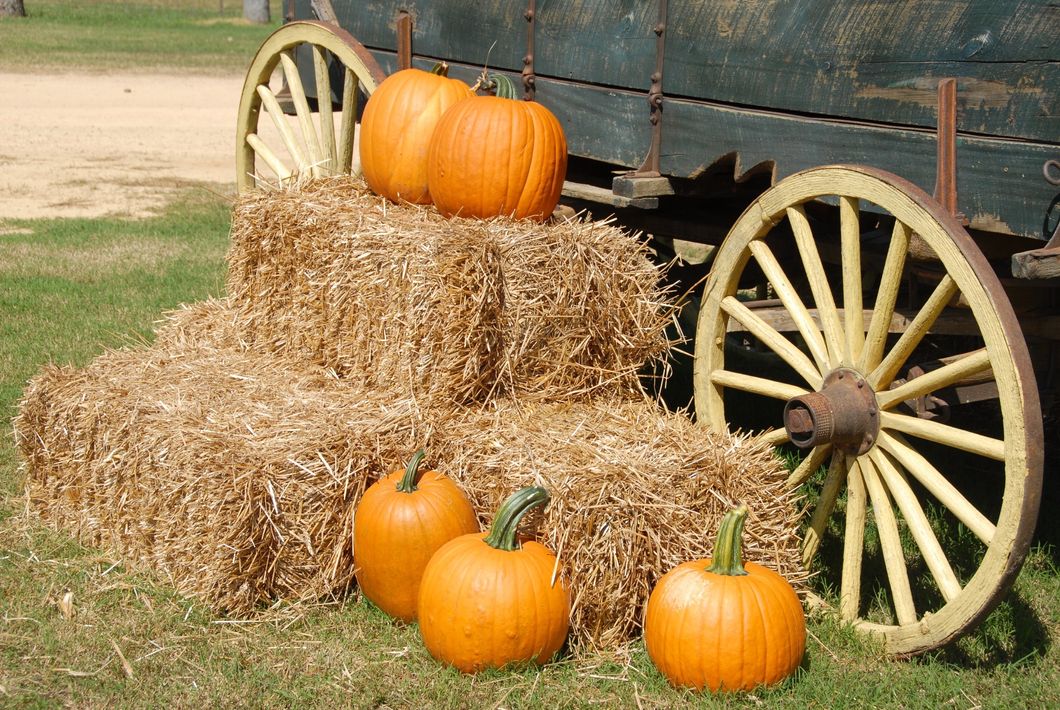 https://www.pexels.com/photo/orange-pumpkin-on-brown-hay-near-gray-carriage-164158/