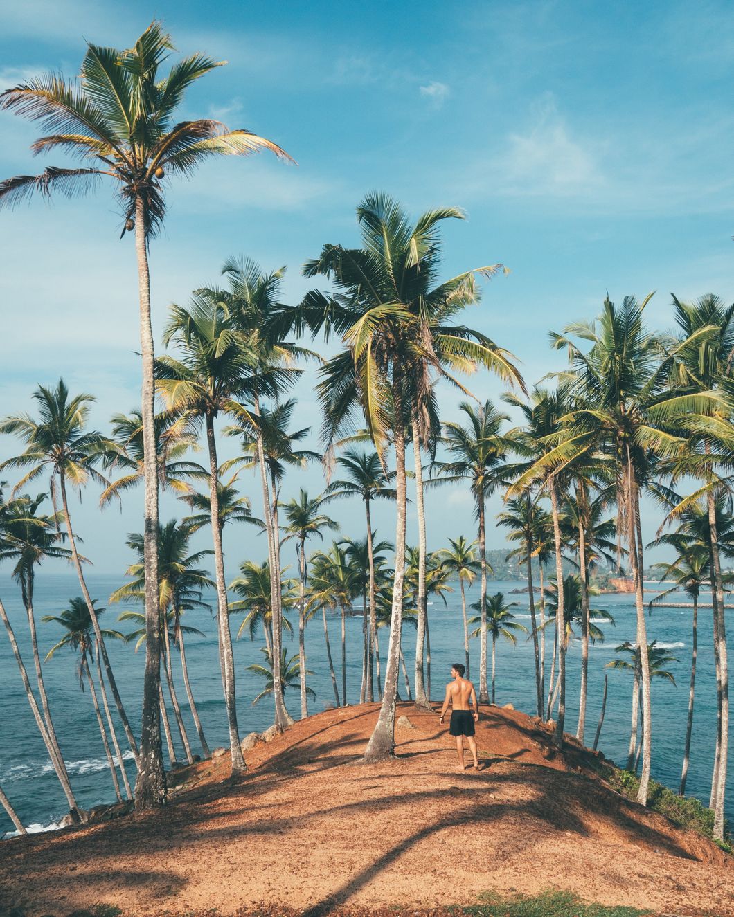 https://www.pexels.com/photo/person-standing-on-dirt-surrounded-by-coconut-trees-1005417/
