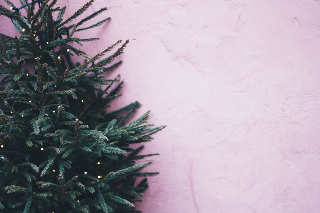 https://www.pexels.com/photo/photo-of-green-leaf-plant-near-pink-paint-wall-814266/