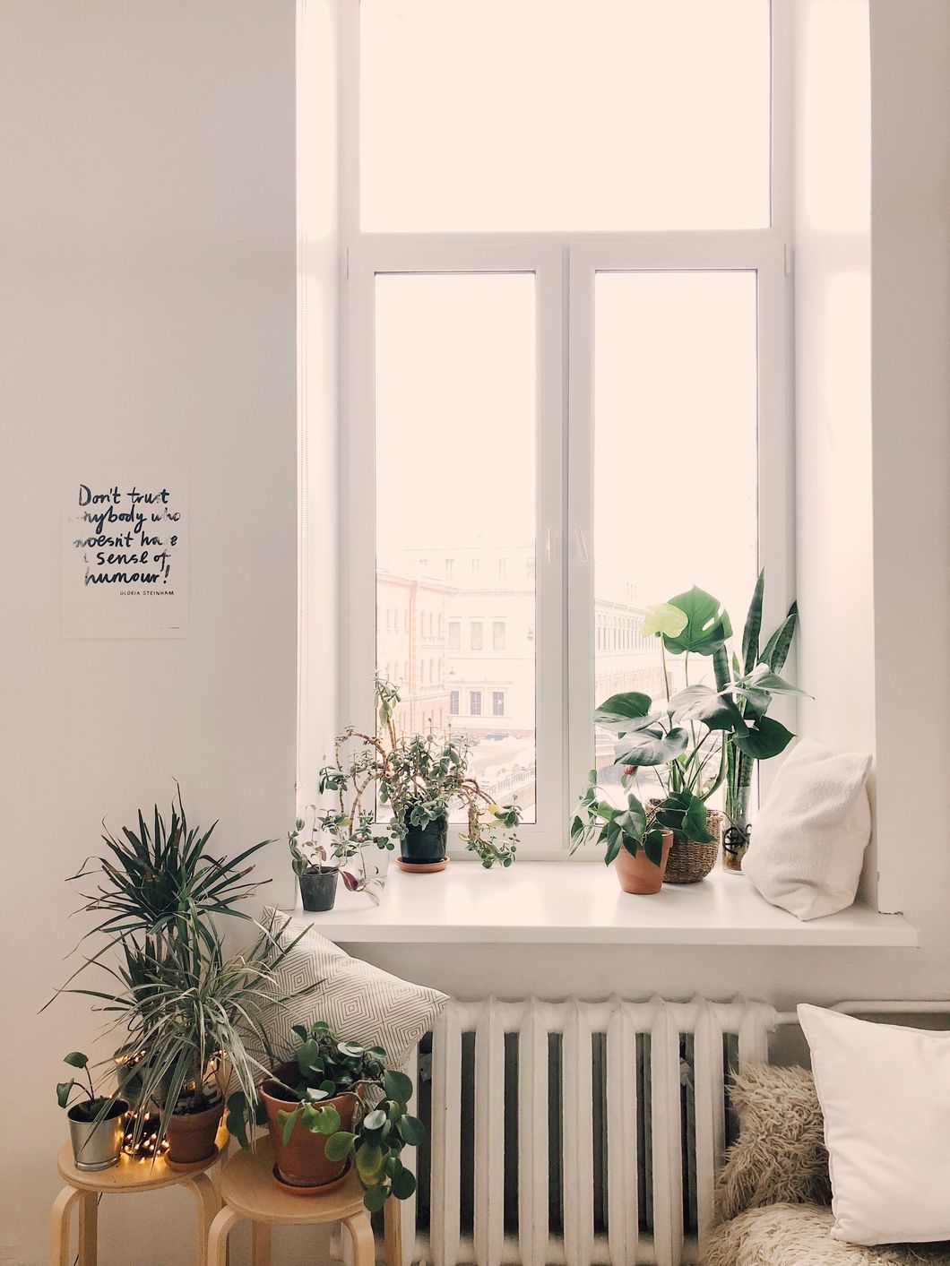 https://www.pexels.com/photo/photo-of-green-leaf-potted-plants-on-window-and-stand-930004/