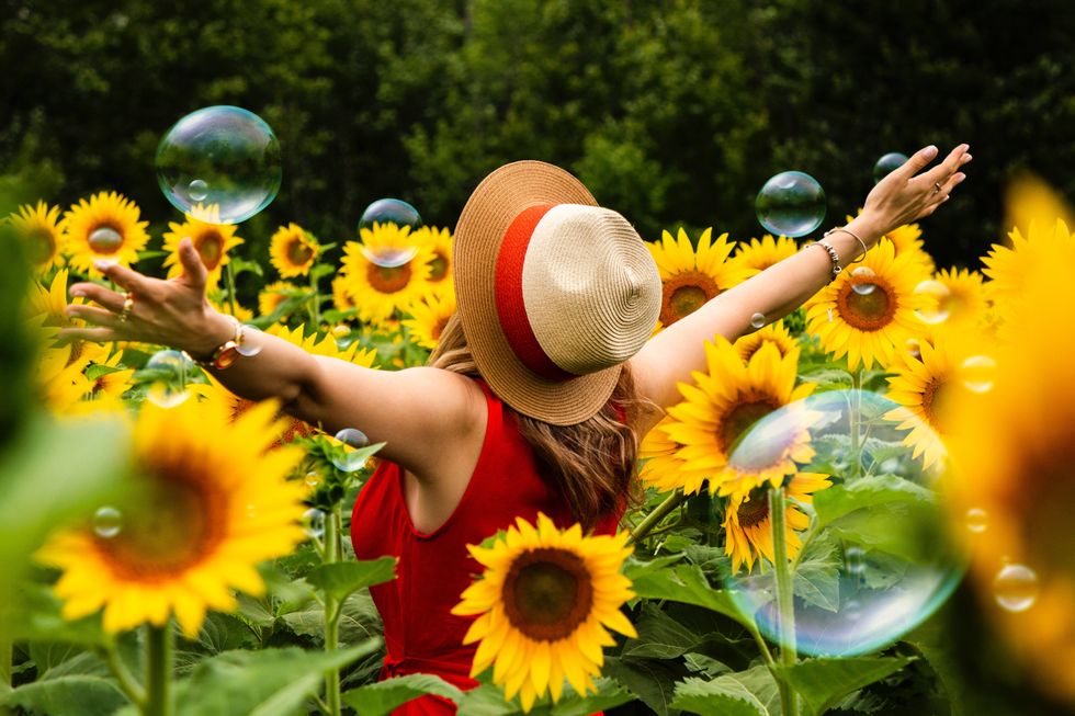 https://www.pexels.com/photo/photography-of-woman-surrounded-by-sunflowers-1263986/